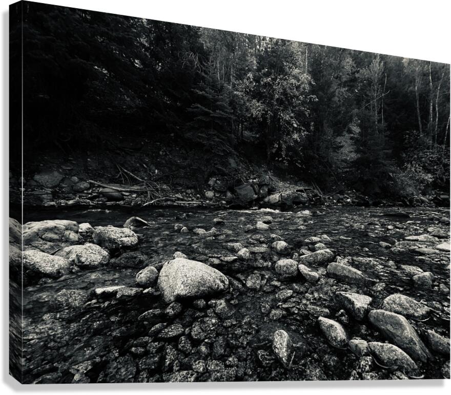 IMG 8124 Canvas Print