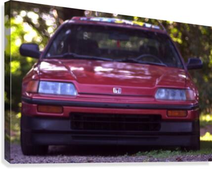 crx Canvas Print