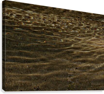 eau 1 Canvas Print