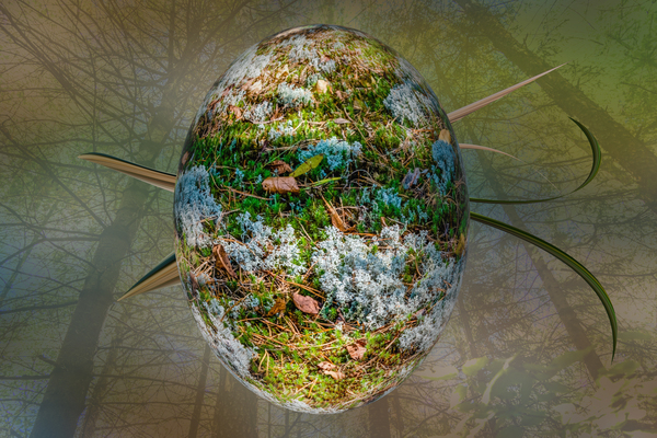 Abstract -  Forest Egg Print