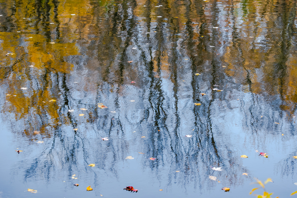 Abstract - Water Reflections Print