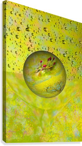 Abstract - Springtime Canvas Print