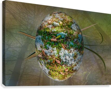 Abstract -  Forest Egg Canvas Print