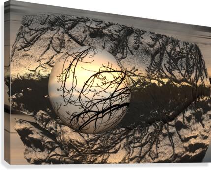Abstract - Capture Canvas Print