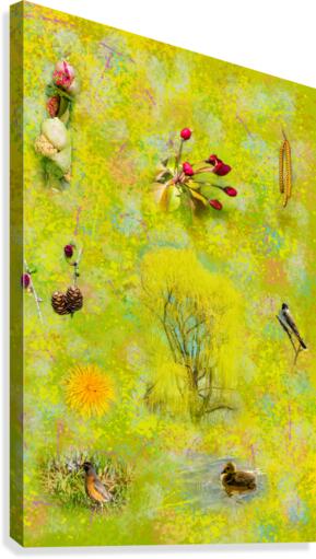 Seasons - Springtime Canvas Print