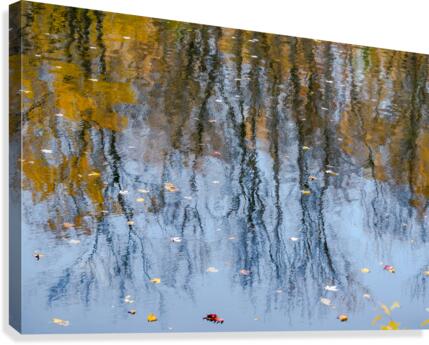 Abstract - Water Reflections Canvas Print