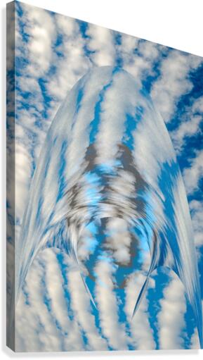 Cloaking Device Canvas Print