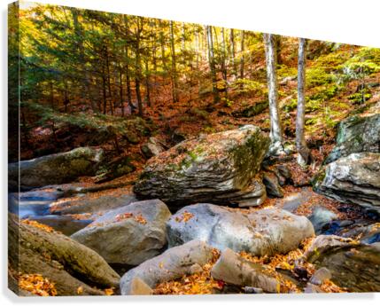 Mountain River V Canvas Print