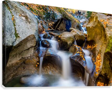Mountain River VI Canvas Print