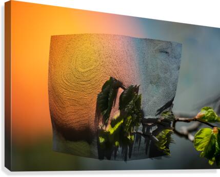 Springtime Fantasy Canvas Print