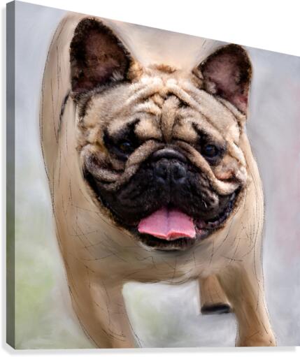 Dog Canvas Print