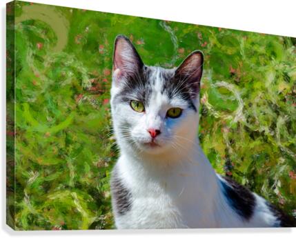 Simply Cat Canvas Print