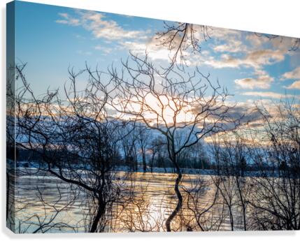 River 2  Canvas Print