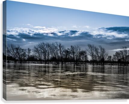 River1 Canvas Print