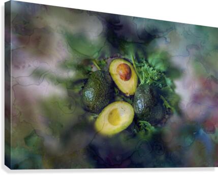 Avocado  Canvas Print