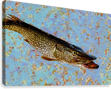 Pike Canvas Print