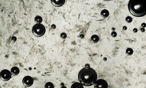Water bubbles under the microscope