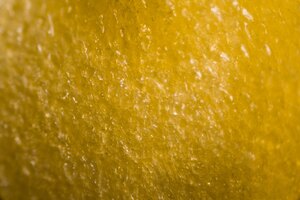 Yellow Peppers kernel under the microscope