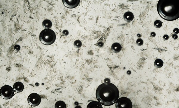 Water bubbles under the microscope Print