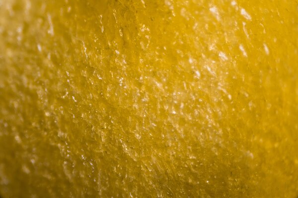 Yellow Peppers kernel under the microscope Print