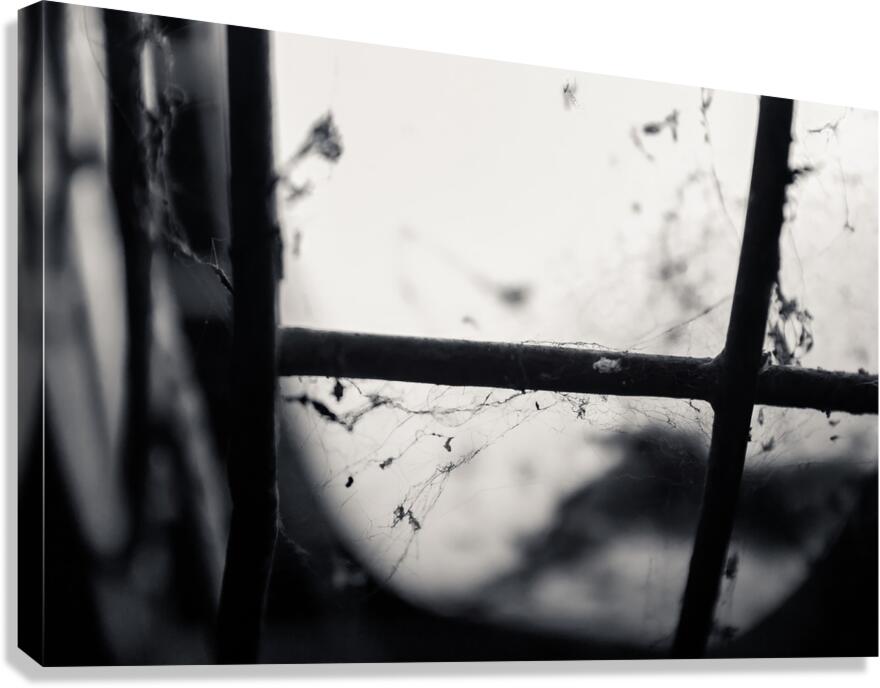 Old lamp Canvas Print