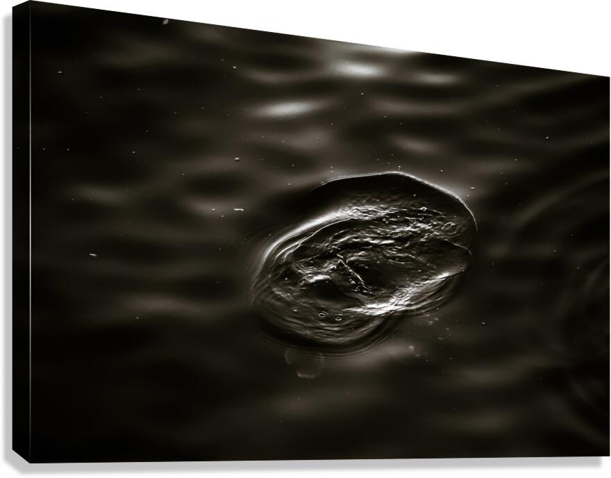 Dark Water Canvas Print