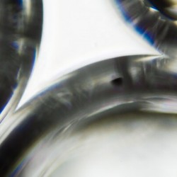 Water bubbles under the microscope