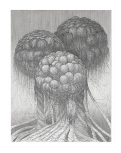 Fragment dun monde inconnu 3