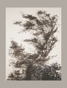 arbre sumi e