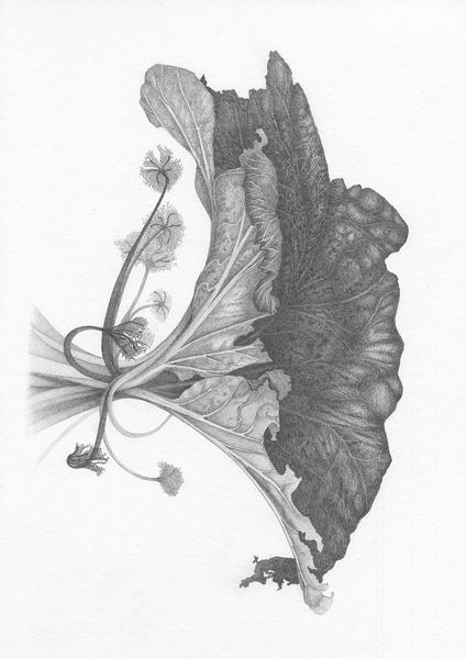 Fragment dun monde inconnu 4 Print