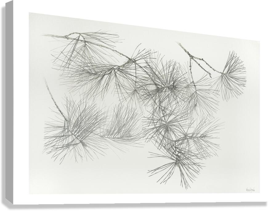 Pin blanc Canvas Print