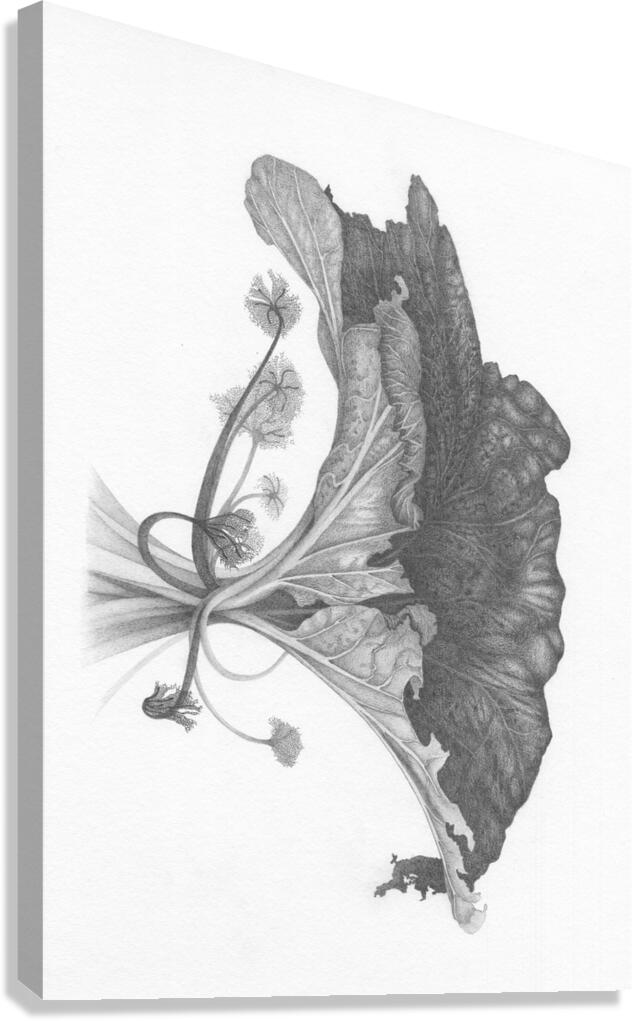 Fragment dun monde inconnu 4 Canvas Print