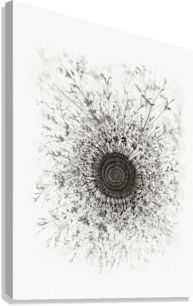 Mandala 1 Canvas Print