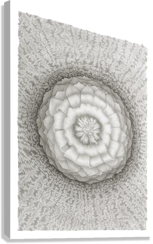 Mandala 2 Canvas Print