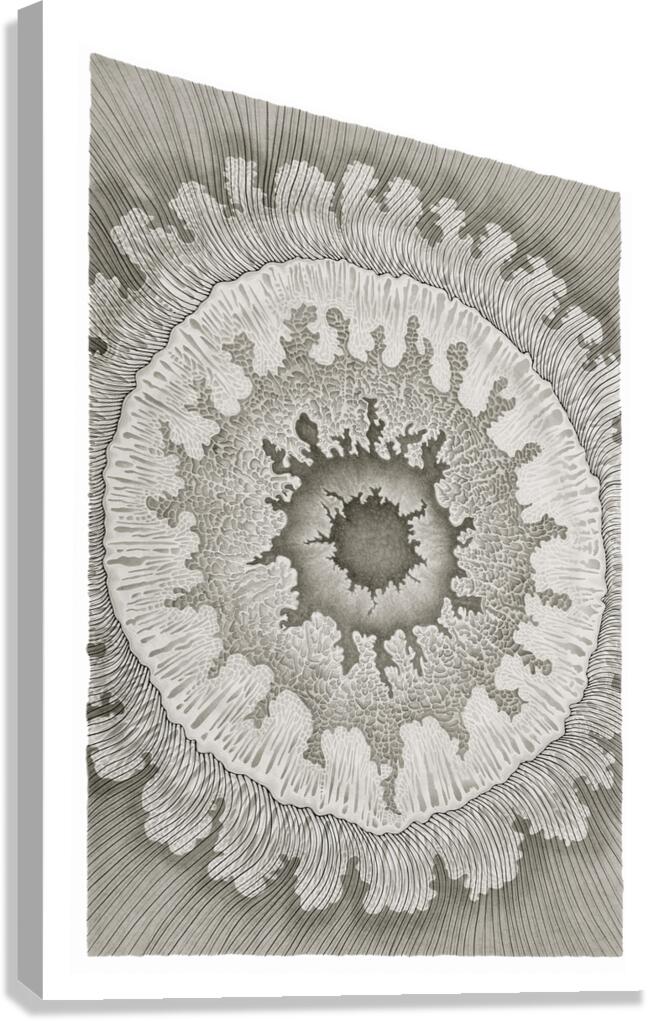 Mandala 3 Canvas Print