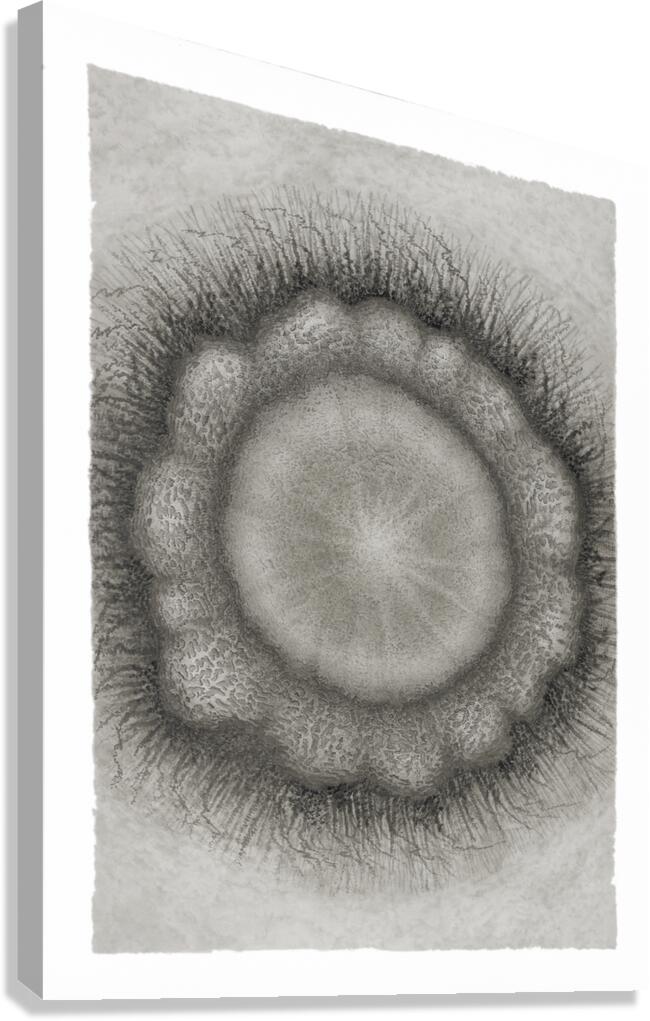 Mandala 5 Canvas Print