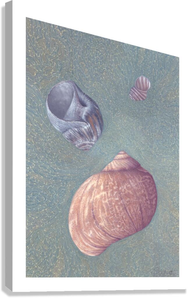 Borlicoco Canvas Print