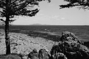 Along Maines Rocky Coast