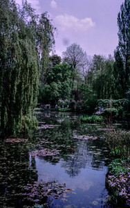 Claude Monets Water Lily Garden v3