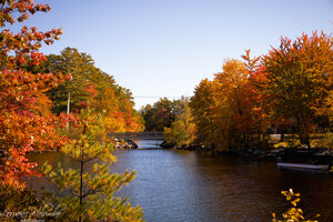 Bright Autumn Colors