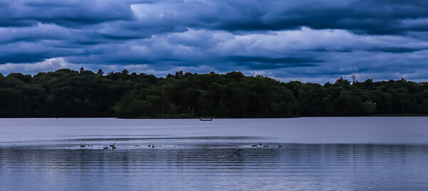 Motorboat Gill MA Print