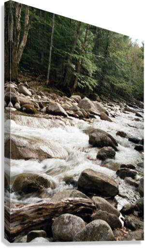 Swift River Vertical Canvas Print