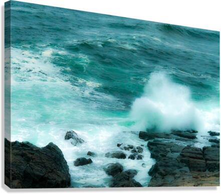 Waves Canvas Print