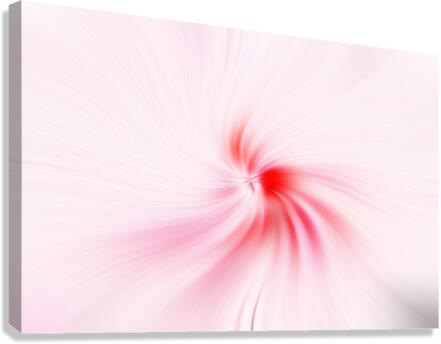 Twirling Conch Shell Canvas Print