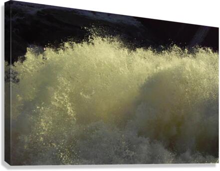 Surging  Salmon Falls Canvas Print