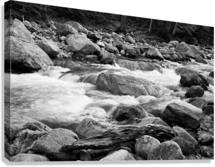 Swift River BW Canvas Print