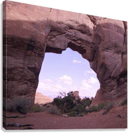 Pine Tree Arch V2 Canvas Print