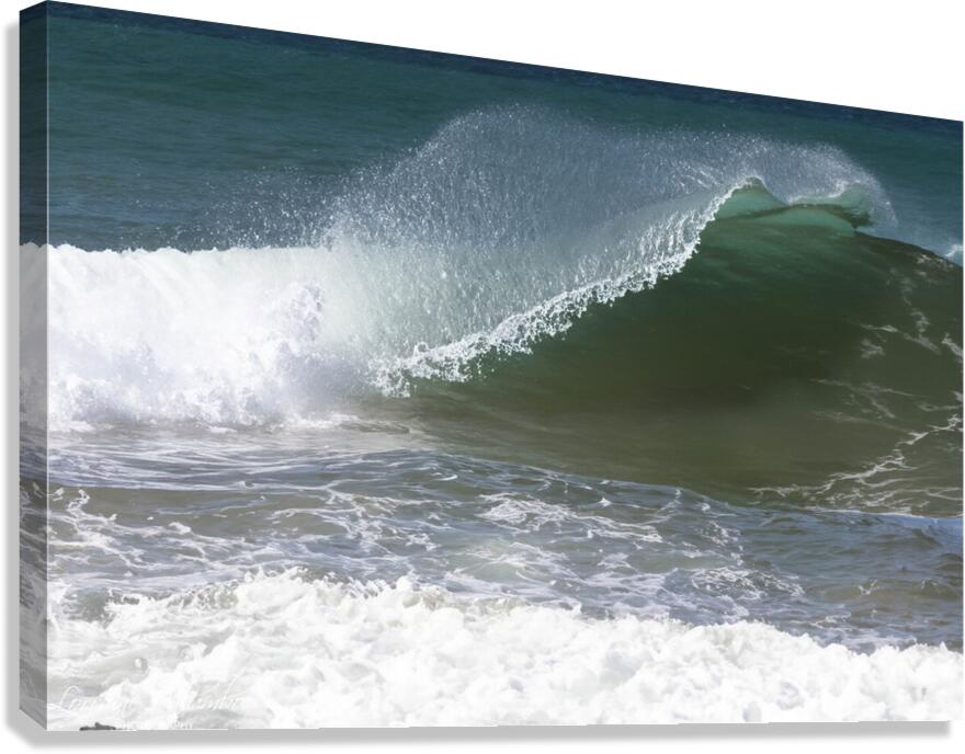 The Big Wave Canvas Print