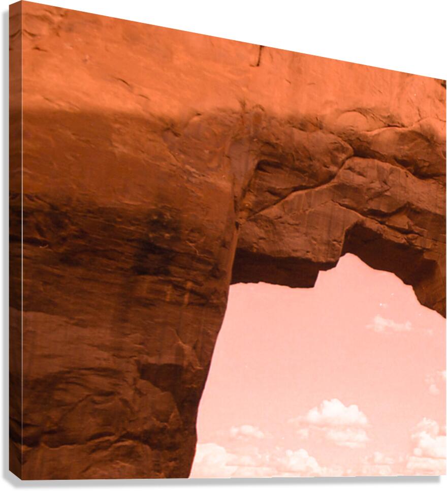 Pine Tree Arch Different POV Canvas Print