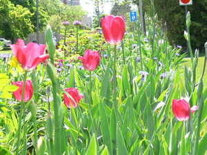 P1000267